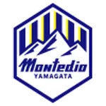 Montedio Yamagata logo