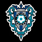 Avispa Fukuoka logo